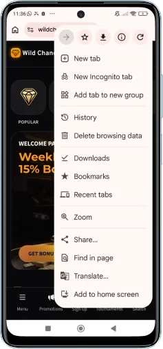 WildChance Android — passo 2